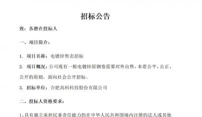 岳阳pp电子游戏电镀锌售卖招标布告